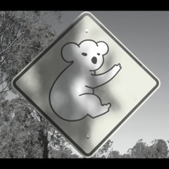 Koala Crisis (Original Mix)