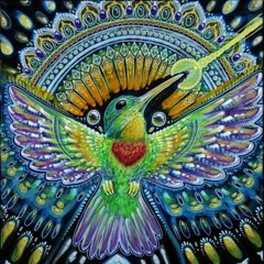 Somos un circulo ~ Ceremonia de Ayahuasca