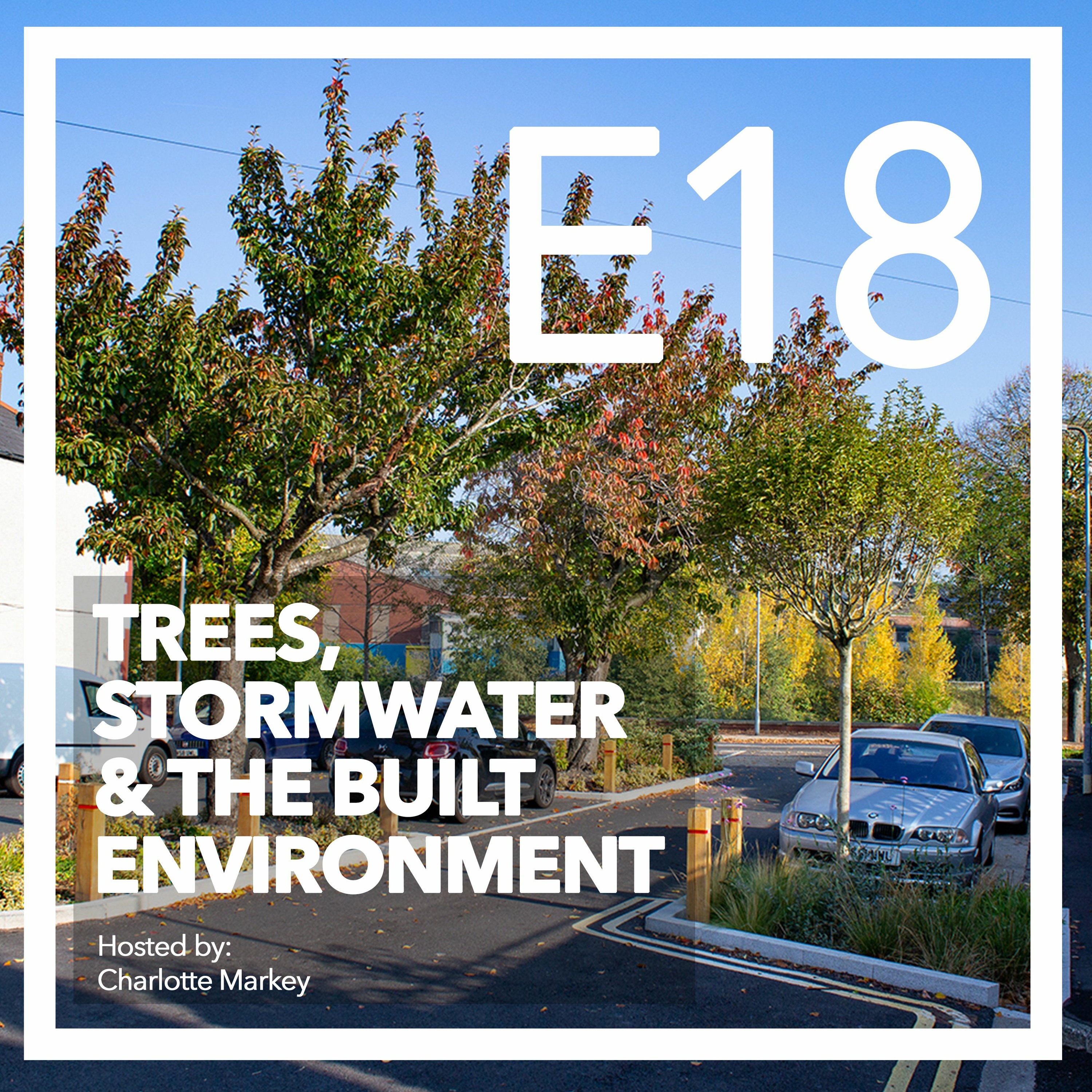 Trees-Stormwater
