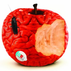 prangopropreen