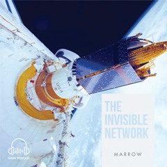 The Invisible Network: Episode 05 - Marrow