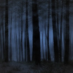 INSTRUMENTAL E38 (89bpm)