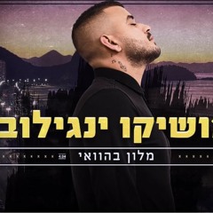 מלון בהוואי מושיקו ינגילוב
