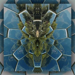 Kansy - Donkel Oktor (200)