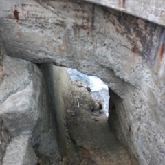 for the fickle (steady love) Reese L.