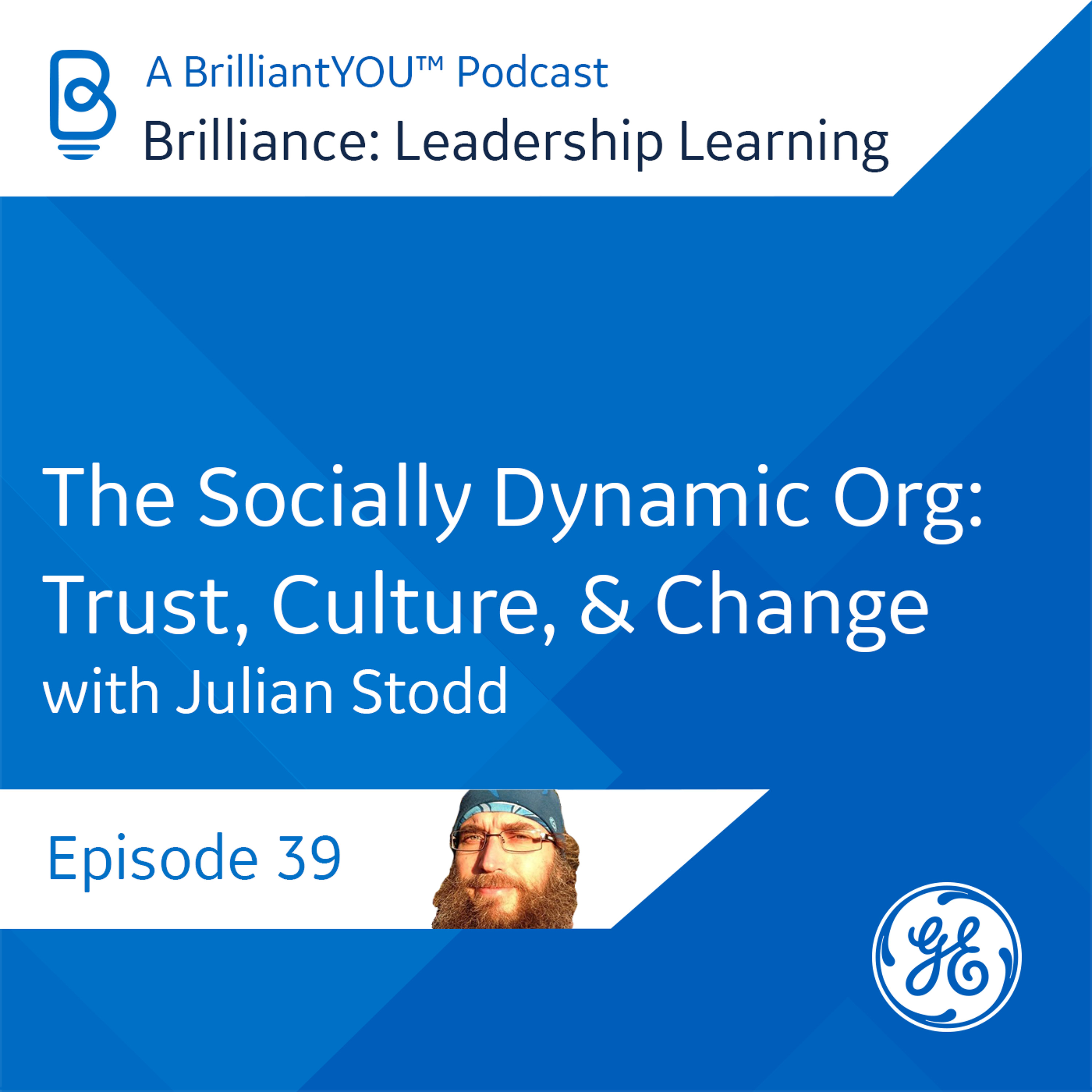 Brilliance: Leadership Learning