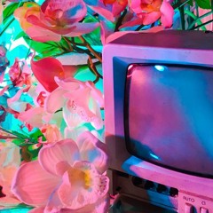 pride - Zbeul ( Available on Spotify, Deezer, etc )