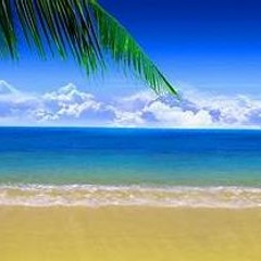 En La Playa Aleteo Remix _ Zapateo _ Guaracha _ Dj martinez