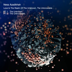 Nesa Azadikhah - The Unknowable