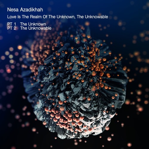 Nesa Azadikhah - The Unknowable