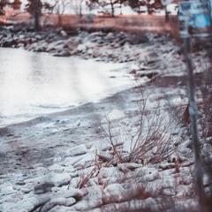 Like We Do (w/ Avery Schmalz)