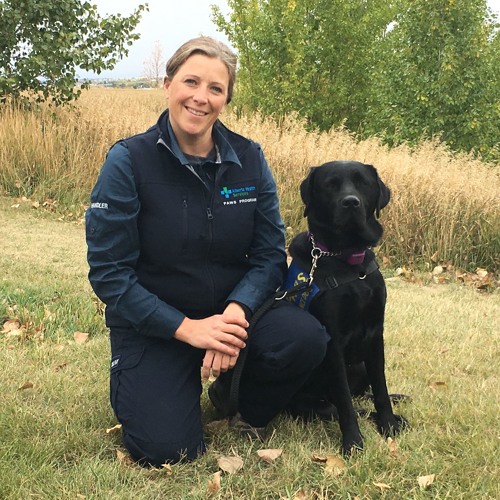 Ems Paws Stream EMS PAWS Program - Update #5 by AHS Communications | Listen ...