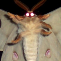 Live @ 3577 Studios Pittsburgh