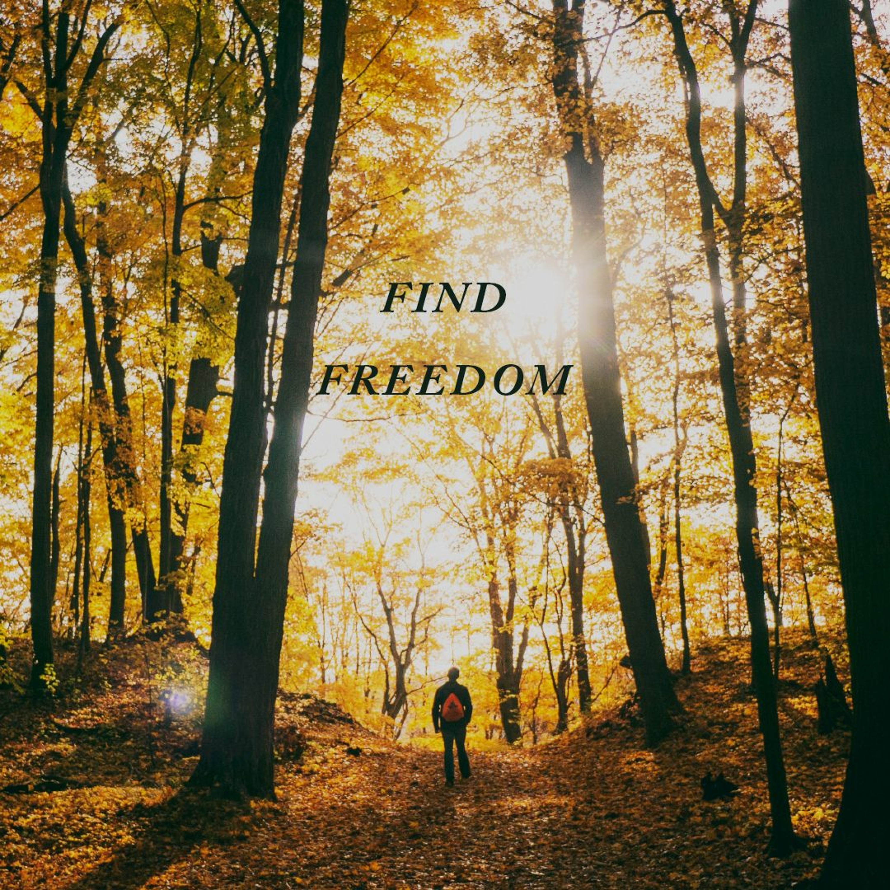 I've Got A Secret | Find Freedom | Jim King episode artwork