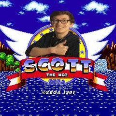 Sonic The Woz