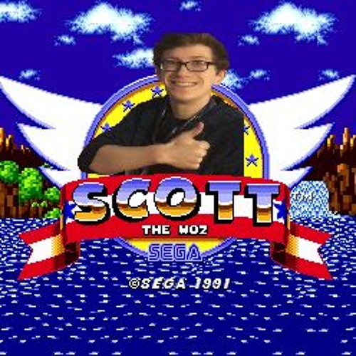 Sonic The Woz
