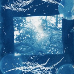 new to me (AFFIRM + NEZBIT + ALPHA J + GROOVY T)