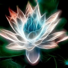 New private playlist