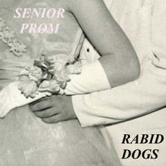 senior prom/rabid dogs