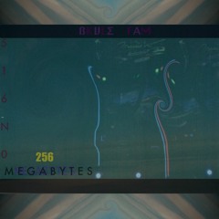 256 Megabytes • [MIXTAKE]
