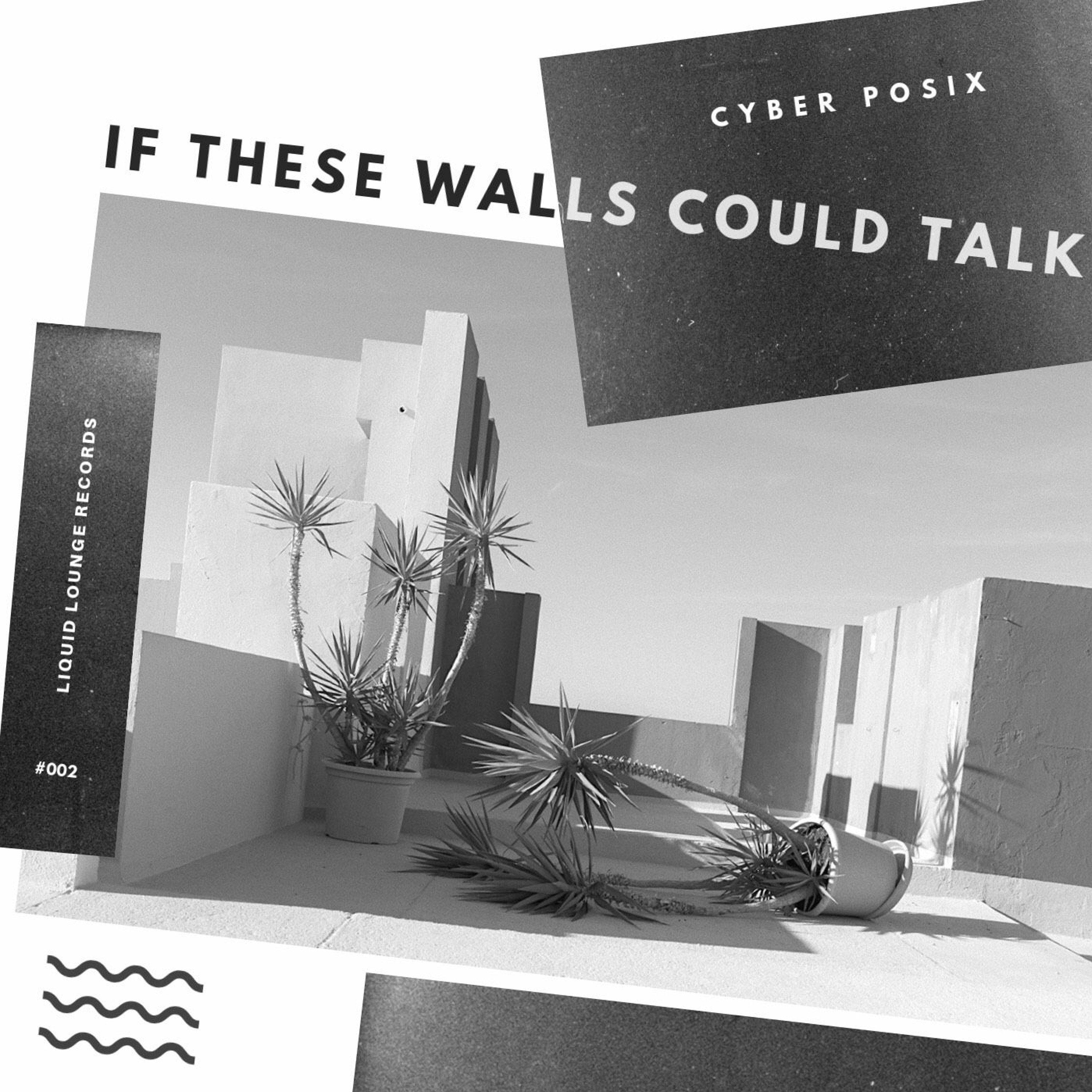 If These Walls Could Talk (In Stores Now! Liquid Lounge Records Release) episode artwork