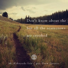 Crooked Scarecrows (naviarehaiku249)