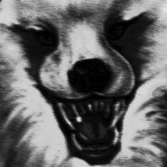 Wolves On Poppers - We Don't Joke...