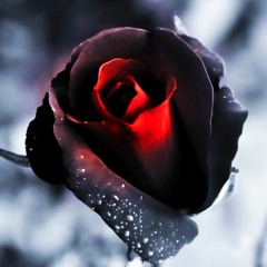 WHY 2? (Prod. Burtner)