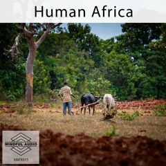 MAFX015 Human Africa demo
