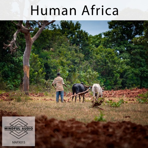 MAFX015 Human Africa demo