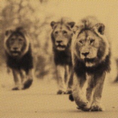 The Three Lions - You´ll Win Again (Burger/Rebolledo/Superpitcher)