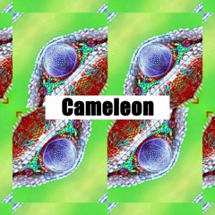 Cameleon (Original Mix)