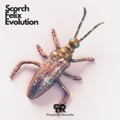 Evolution - Scorch Felix -original-