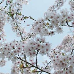 Love Yourself - Cover