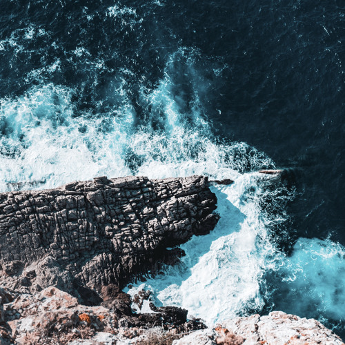 Grapes [Now on Spotify & Apple Music]