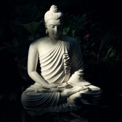 Medytacja - krótki wykład Thanissaro Bhikkhu "Poszerz swój repertuar"