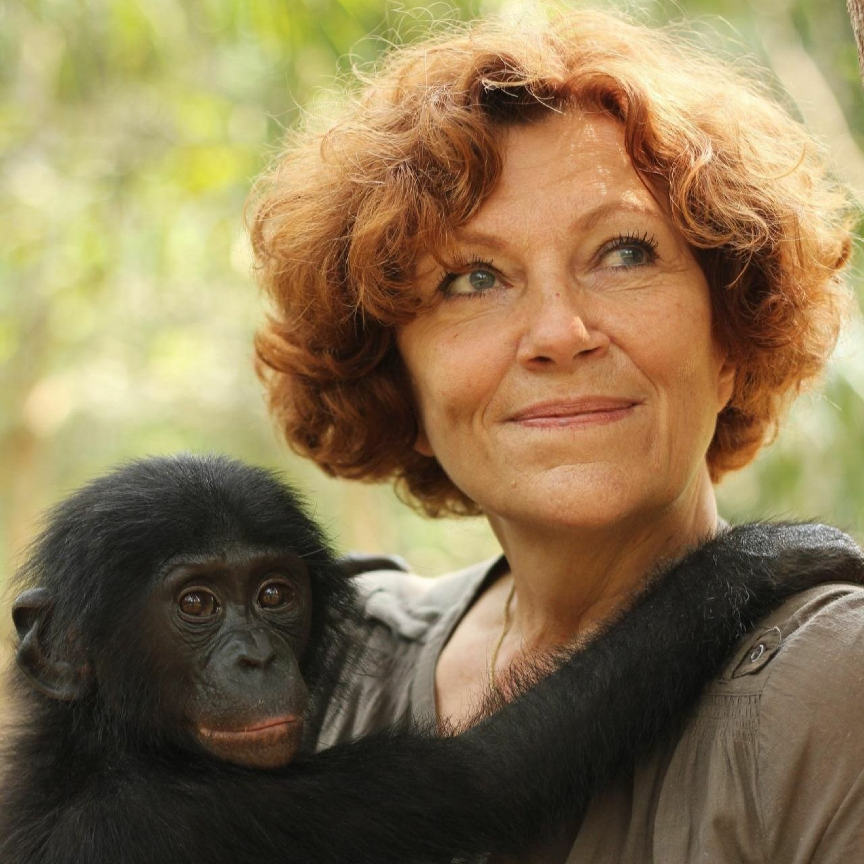 PODCAST:Claudine André présente "Lola Ya Bonobo",le sanctuaire pour les Bonobos
