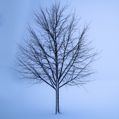Winter 2018