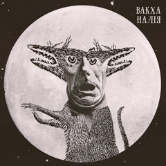 Kadaitcha – Vigil