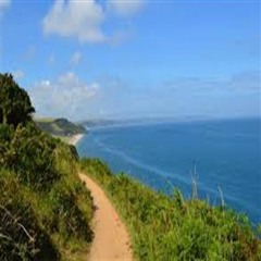 Winding Coastal Path