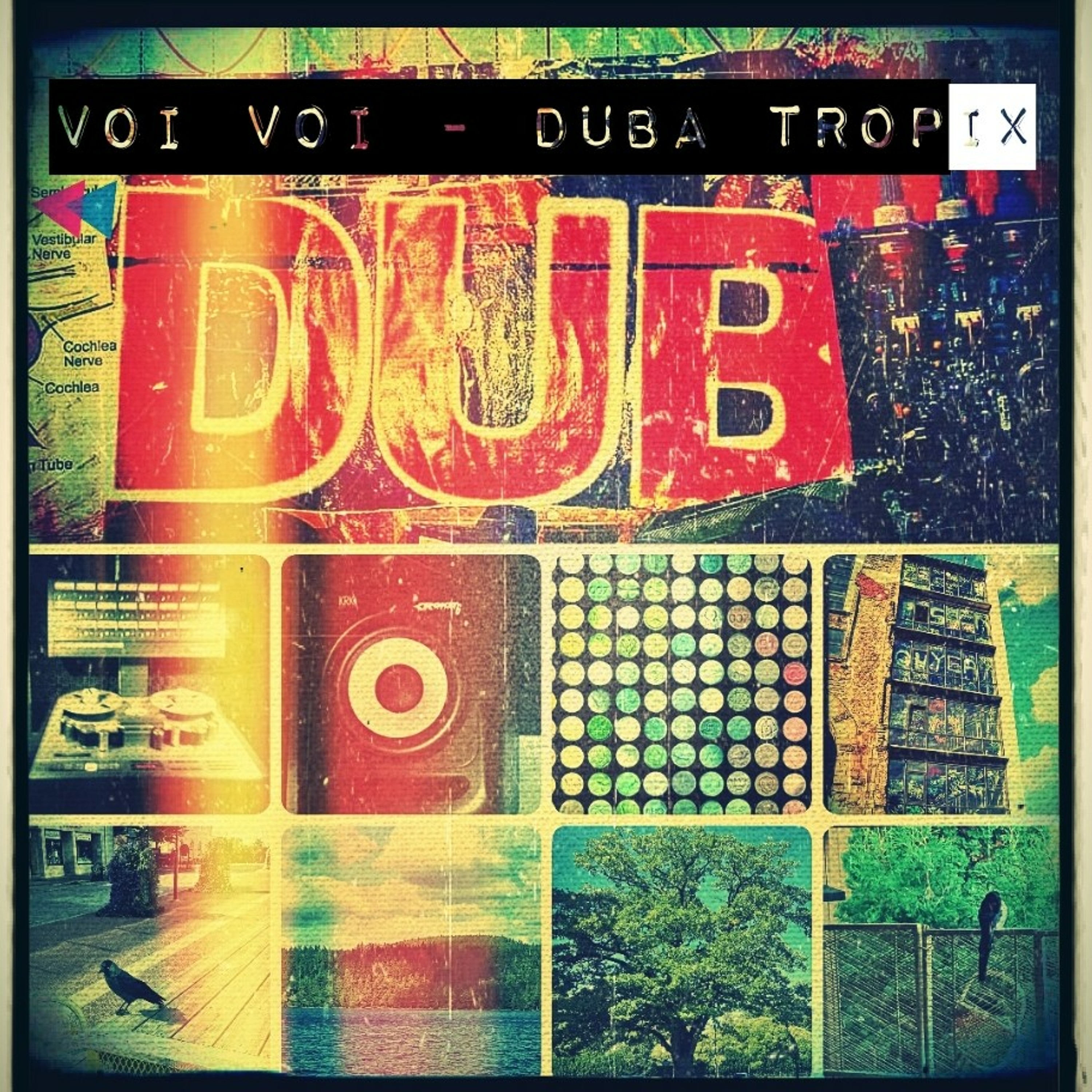 Dubatropix episode artwork