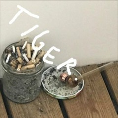 Mick Moon ft. EUTANAA$IA - Paneme peeneks (prod. tenerifle) (tiger. flip)