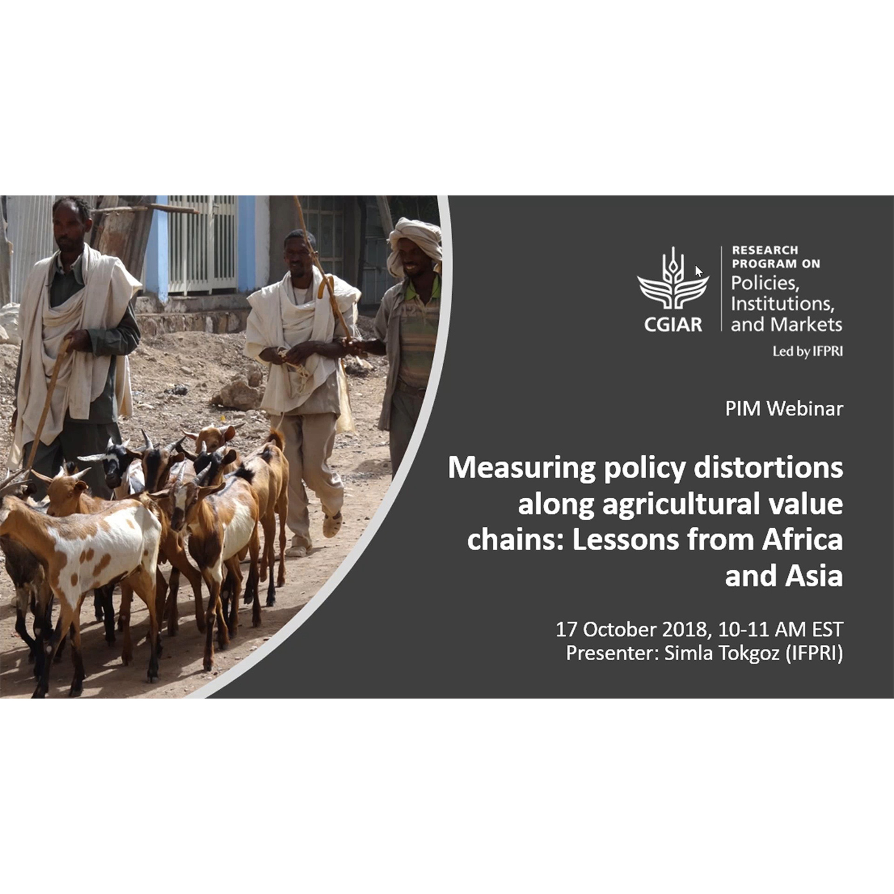 PIM Seminar Series: Measuring policy distortions along agricultural value chains 10/17/2018 - episode artwork