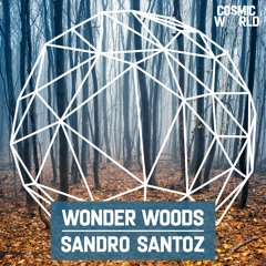 Wonder Woods - Sandro Santoz (Radio-Edit)