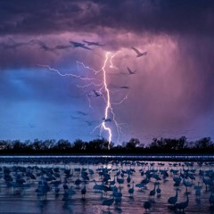 Storm Freestyle UpTop Mix