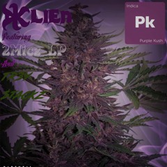 Purple Kush - DKlien Ft 2Micz LP & Tr3y $tackz
