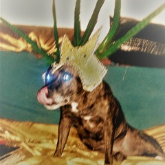 Guistar- Spanish Stylee