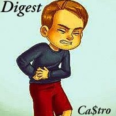 Digest