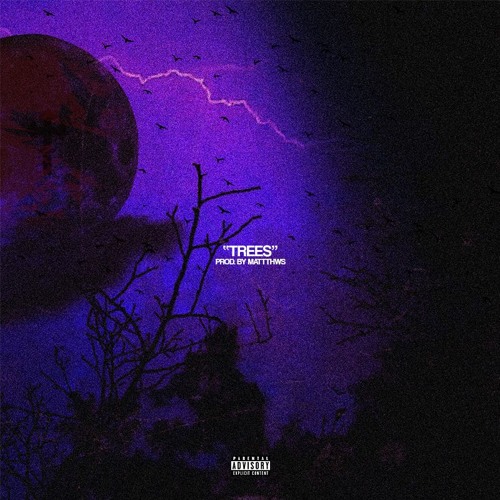 Trees [Prod•Mattthw]