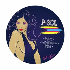 P-SOL - - - - - Mixed Bag Vol. 4